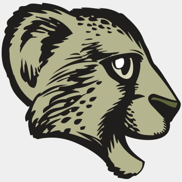 BAW CHEETAH 17 RC Thumbnail