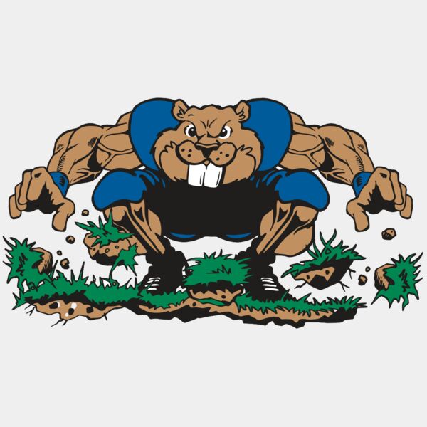 AR14 BEAVER FBLL 04 RQC Thumbnail