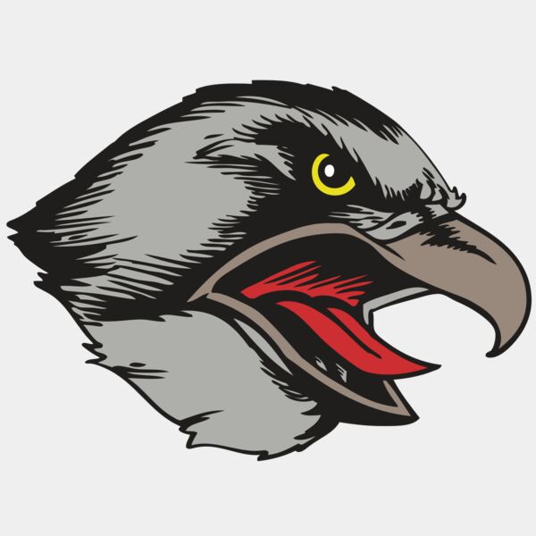 BAW HWK FLCN 13 RC Thumbnail