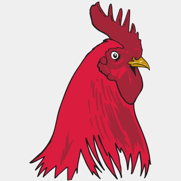 AR OTHER 19 RC Thumbnail