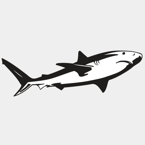 AR5 Shark 15 RQC Thumbnail